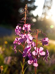 _8056252-Edit.jpg