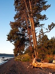 _8056229-Edit.jpg