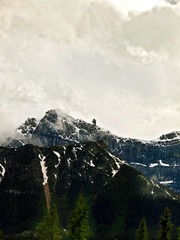 _7055974.jpg