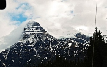 _7055948.jpg