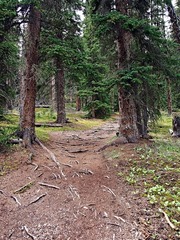 _7055840.jpg