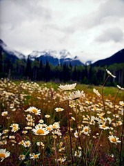 _7045438.jpg