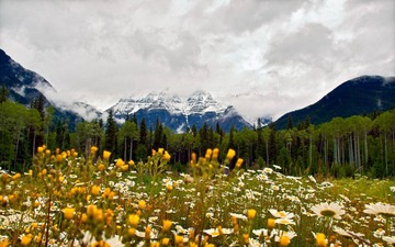 _7045432-Edit.jpg