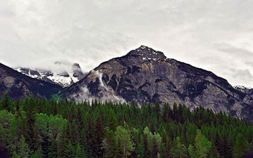 _7045384-2.jpg