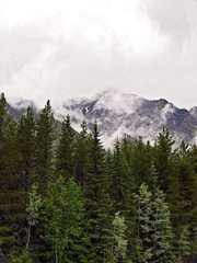 _7045382.jpg