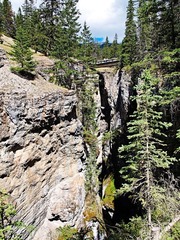 _7035280.jpg