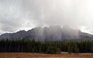 _7024832.jpg