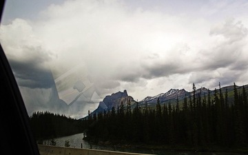_7024829.jpg