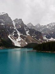 _7014804.jpg