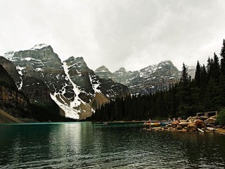 _7014793.jpg