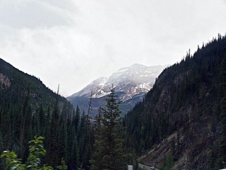 _7014708.jpg