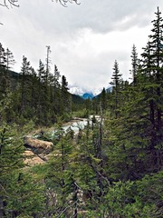 _7014654-Edit.jpg