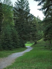 _7014436-Edit.jpg