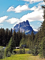 _6304394.jpg