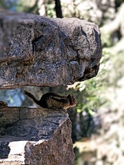 _6304390-Edit.jpg