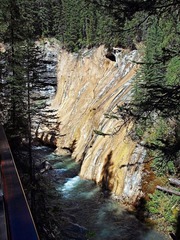 _6304377.jpg