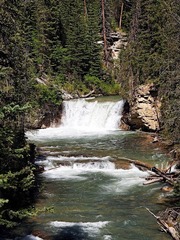 _6304366.jpg