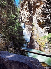 _6304338.jpg
