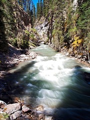 _6304317.jpg