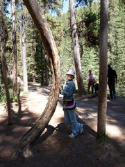 _6304290.jpg