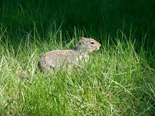 _6304198.jpg