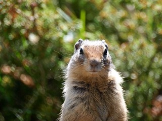 _6304191.jpg