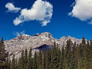 _6304163.jpg