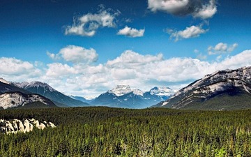 _6304140-Edit.jpg