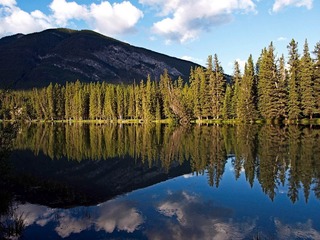 _6304114-Edit.jpg
