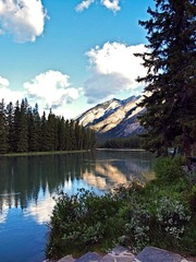_6304109.jpg