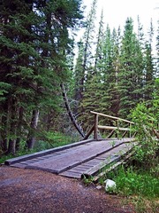 _6304081.jpg