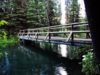 _6304080.jpg