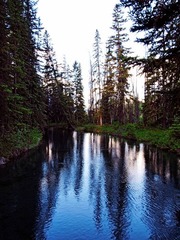 _6304070Edit.jpg