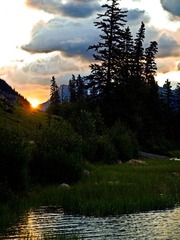 _6304056.jpg
