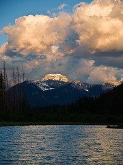 _6304051.jpg