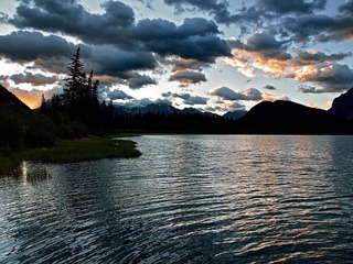 _6304020.jpg