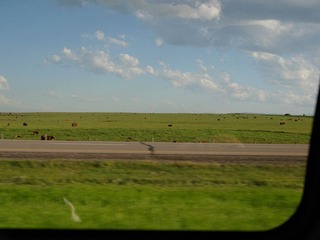 _6293975.jpg