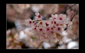 _4243173-Edit