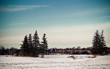 _C171681