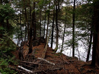 _A240900