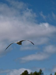 _9149662
