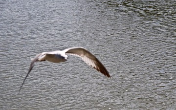 _9149657