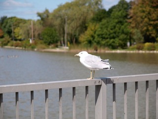 _9149640