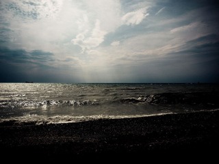 _8039324