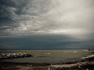 _8039318