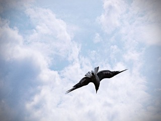 _8039290