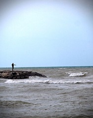 _8039281