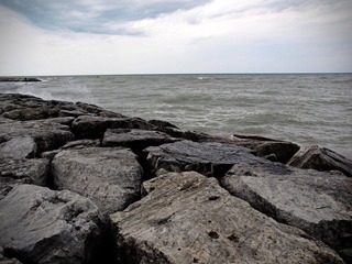 _8039257