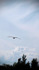 _8019178