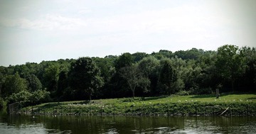 _8019148